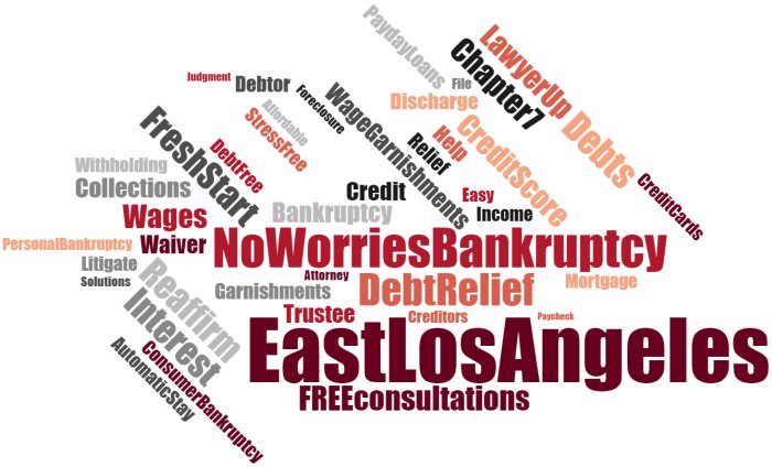 Best Bankruptcy Lawyer in Los Angeles for Chapter 11 Filing