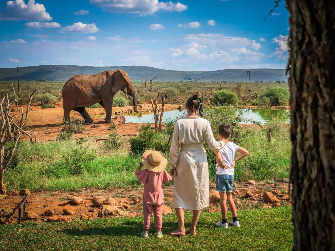 5-Star Travel Agencies for African Safari Tours